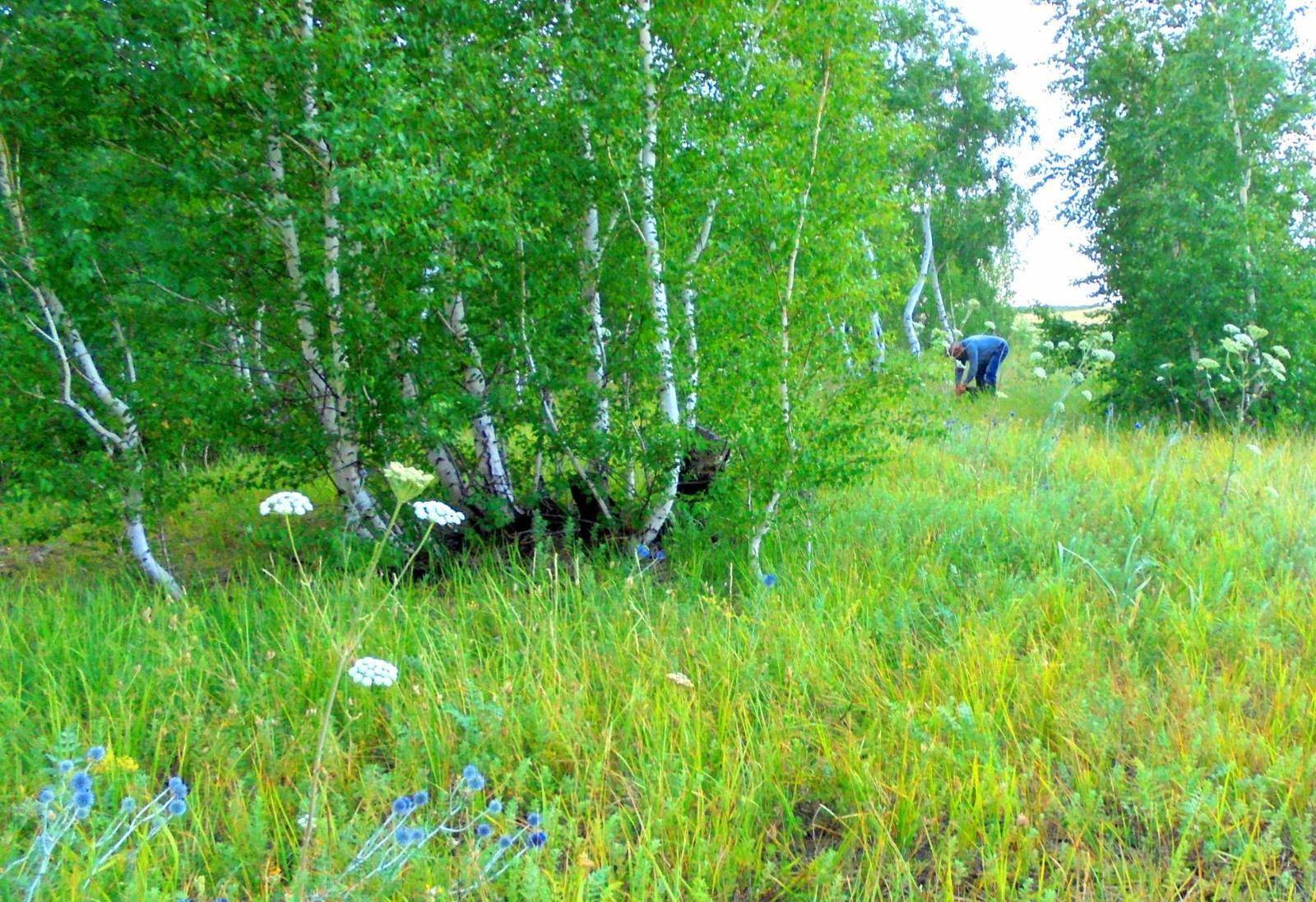 Fascinating natural boundary Zharkayyn. - My, Partially mine, , Derzhavinsk, Beginning photographer, Longpost