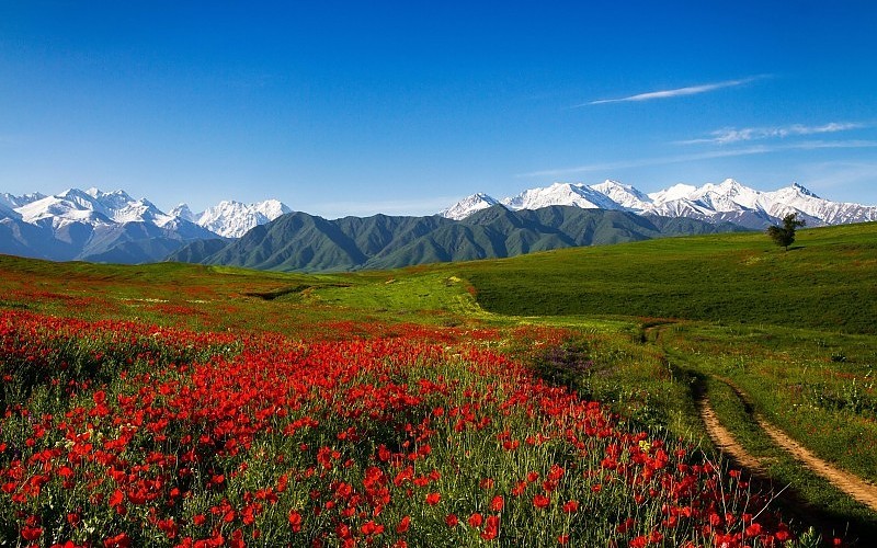 In the valley of the sun, where Fergana is. - Fergana, Uzbekistan, Fergana Valley, The photo, Landscape, Homeland, Longpost