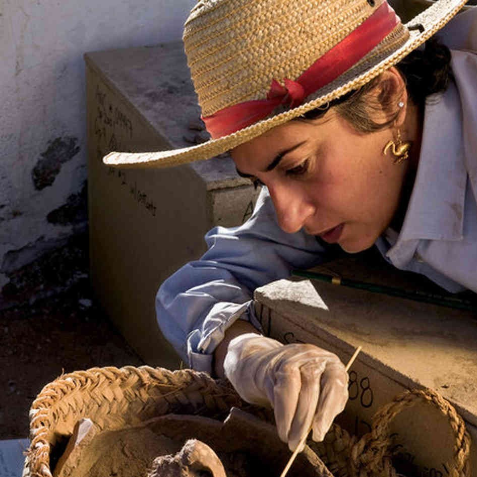 Приключения археологов. Салима Икрам археолог. Салима Икрам египтолог. Доктор Салима Икрам. Женщина археолог.