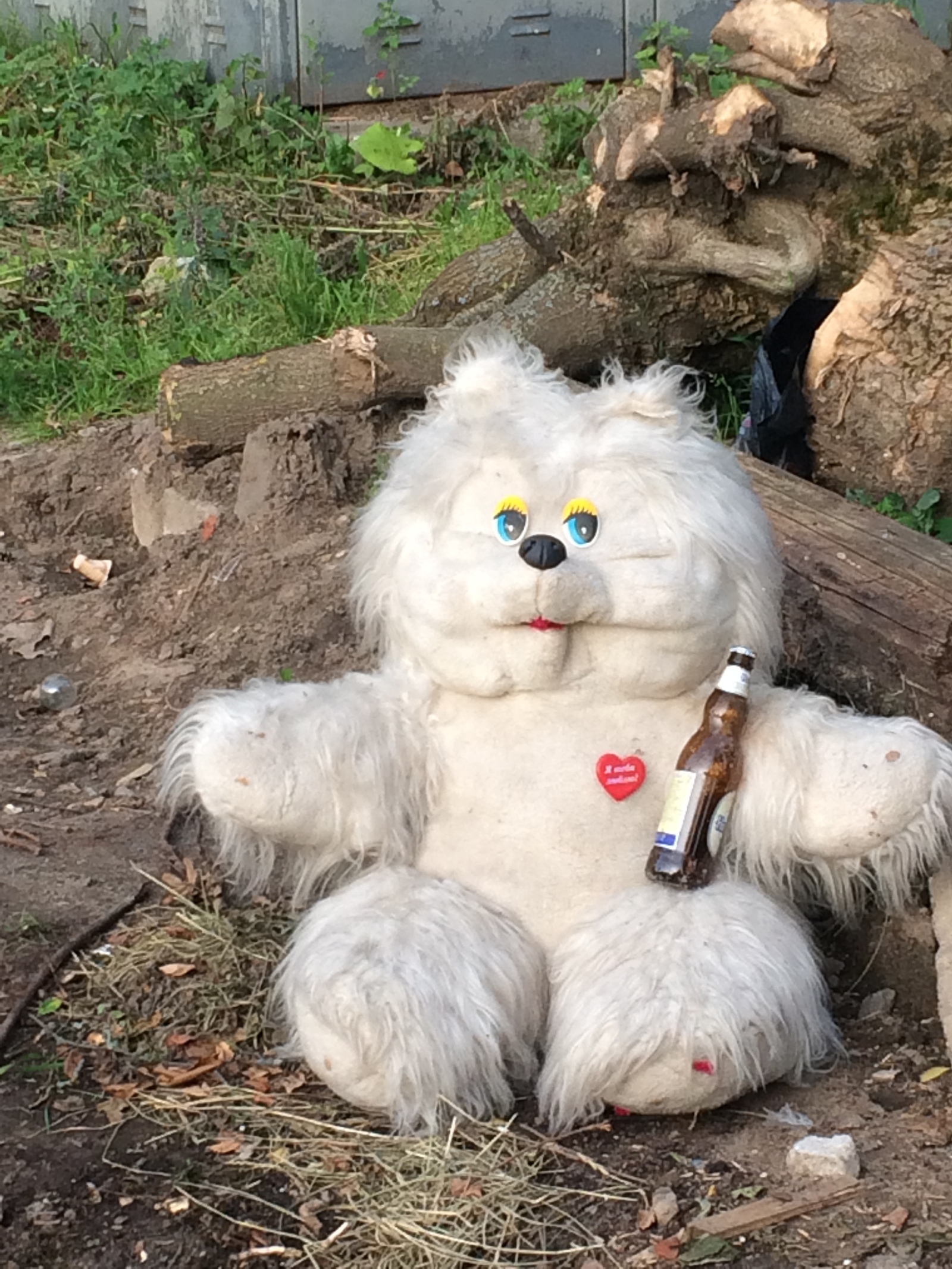 Life is pain - My, Russia, Plush Toys, Beer, Trash heap, Longpost