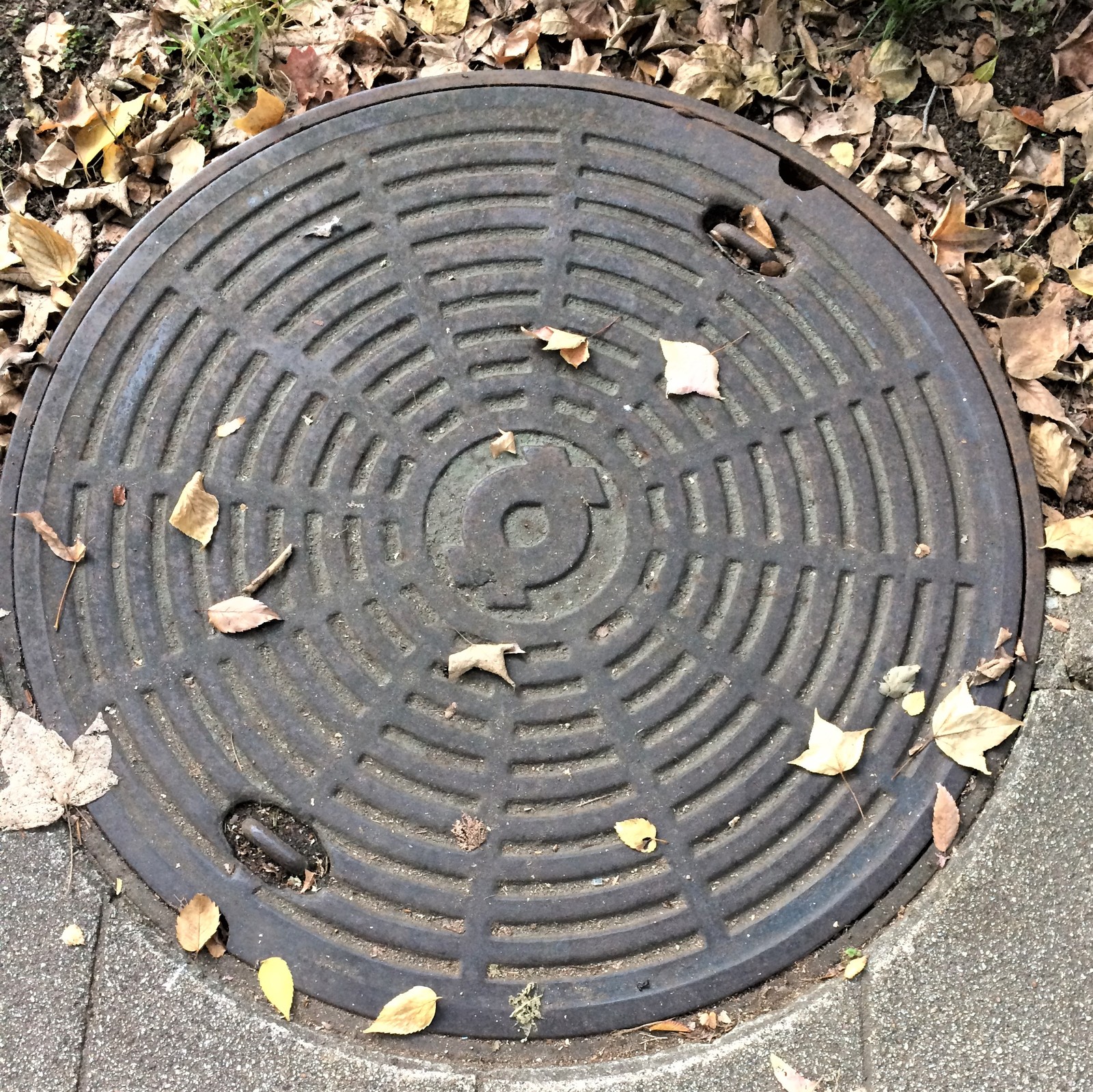 We look under our feet: sewer manholes of Japan - My, Japan, Under your feet, ordinary things, Luke, Travels, Osaka, Kyoto, Longpost