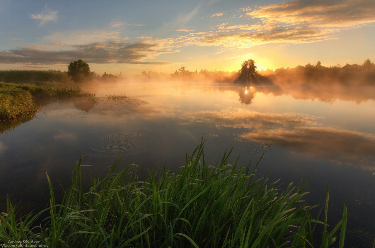 Dubna - Summer, 2017, Dubna, Moscow region, The photo, Nature, Landscape, A boat, Longpost