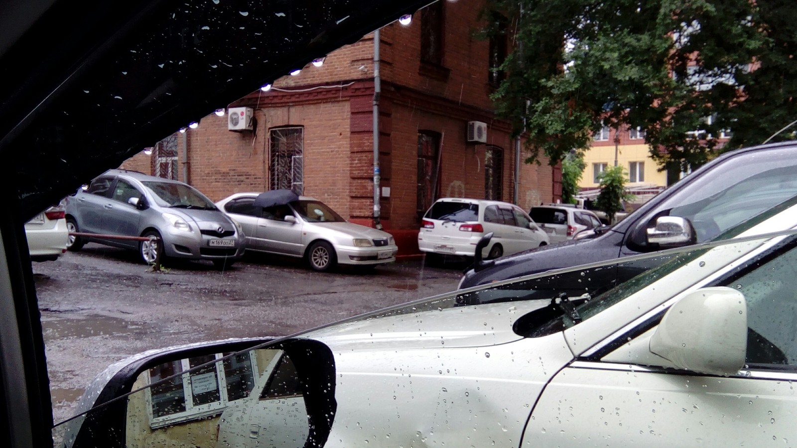 Took a friend out for a walk - My, Umbrella, Khabarovsk, Best friend, Walk, Rain, Strange people