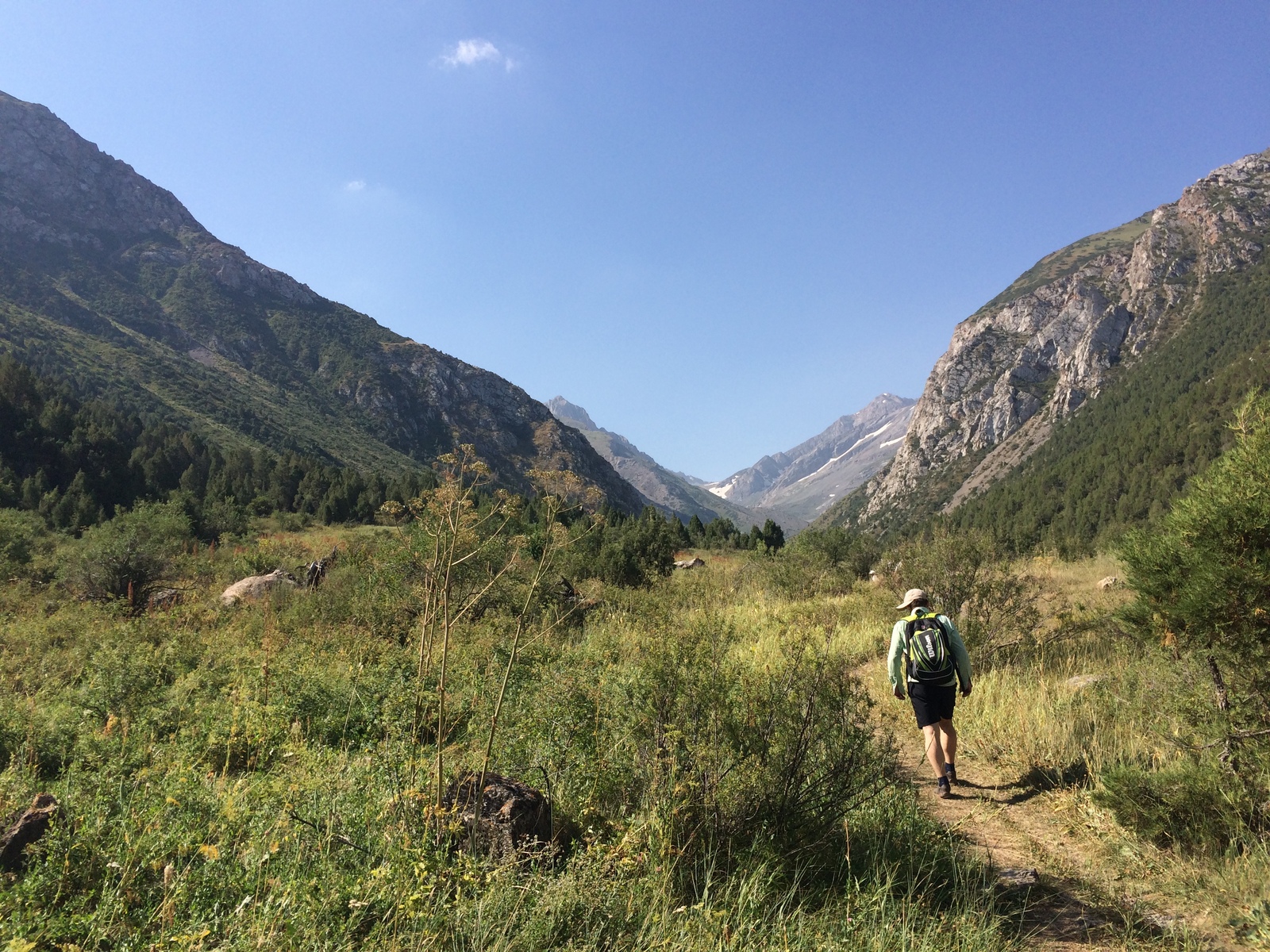 Hiking in the mountains in the Sairam-Ugam reserve. - My, Hike, The mountains, , Longpost, Tag