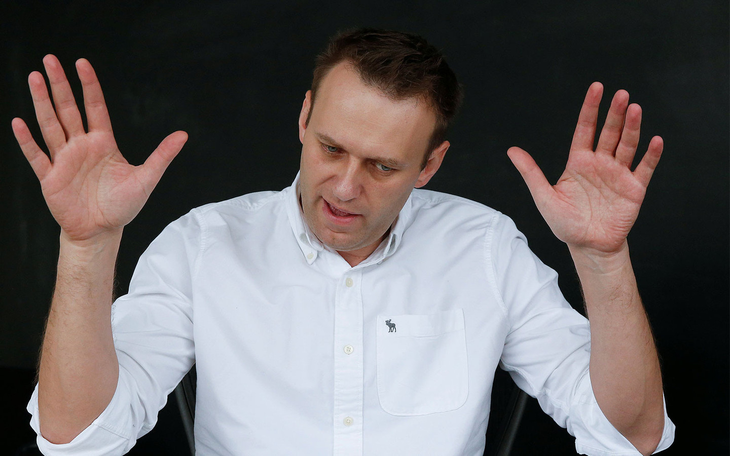 Navalny is losing popularity with network hamsters - Politics, Alexey Navalny, Hamster, Longpost