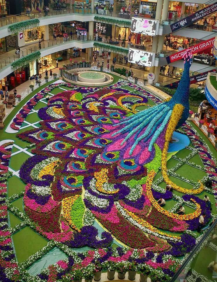 Flower arrangement in a shopping center in Medellin, Colombia - Flowers, Composition