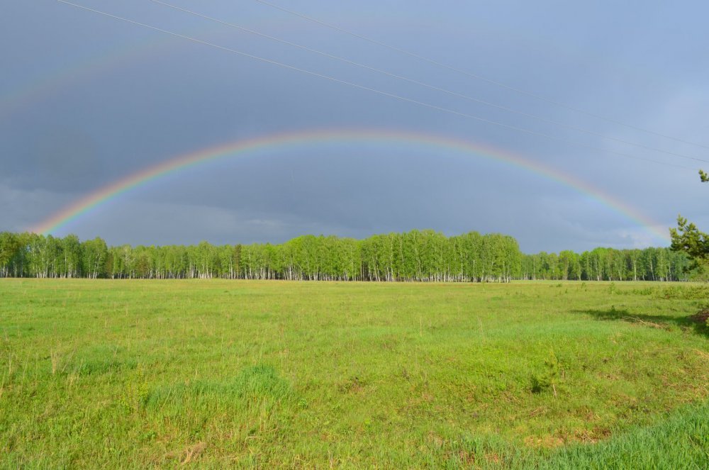 Rainbow - Радуга, Фотография