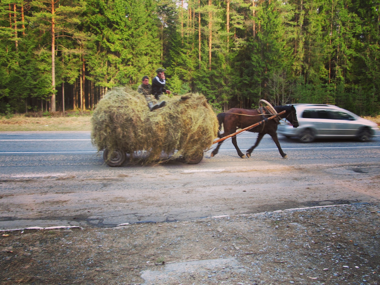 Meanwhile in Belarus - Моё, Республика Беларусь, Деревня