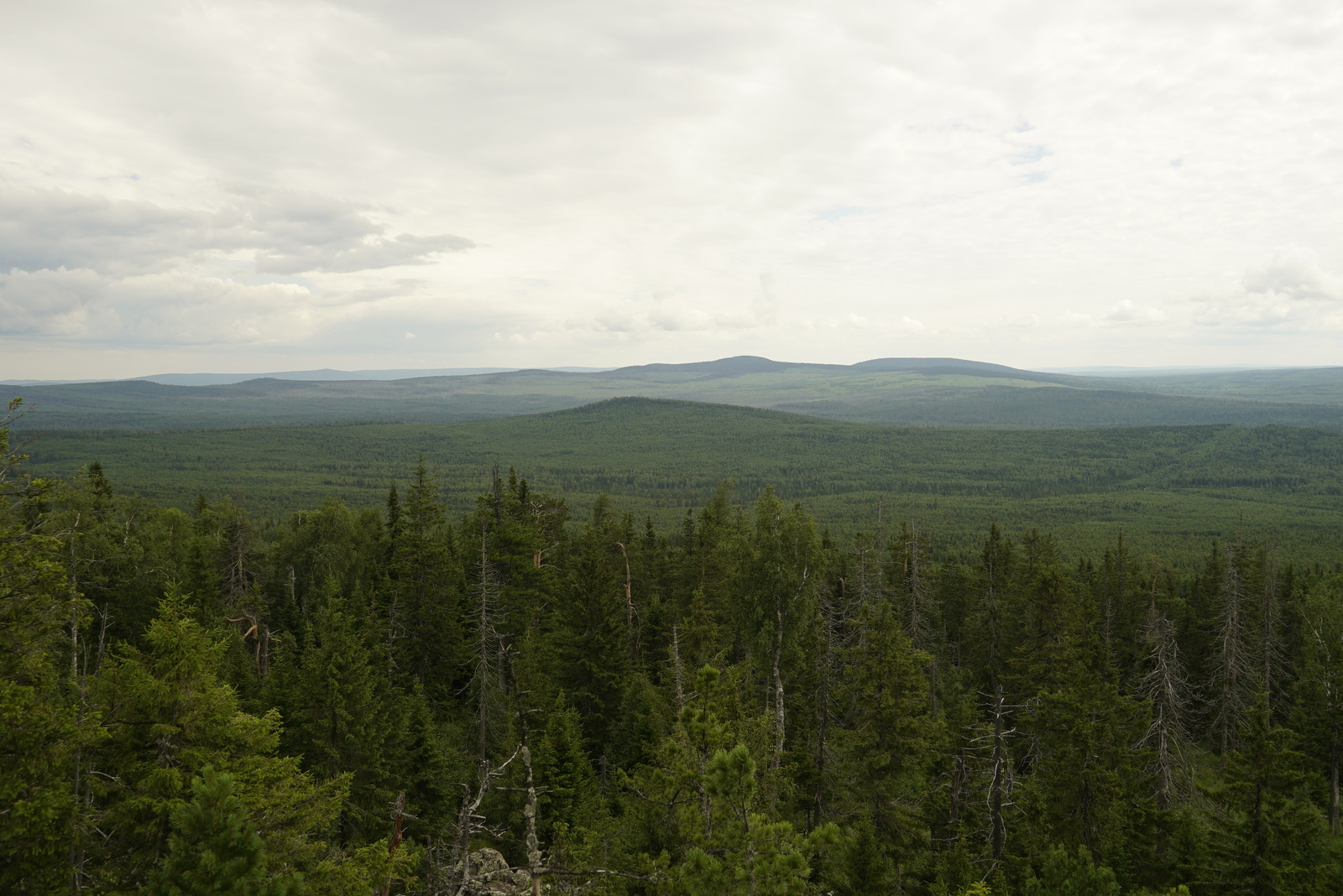 Visimsky Reserve - My, , Reserve, Nature, Travels, Ural, Sverdlovsk region, Tourism, Longpost, Reserves and sanctuaries