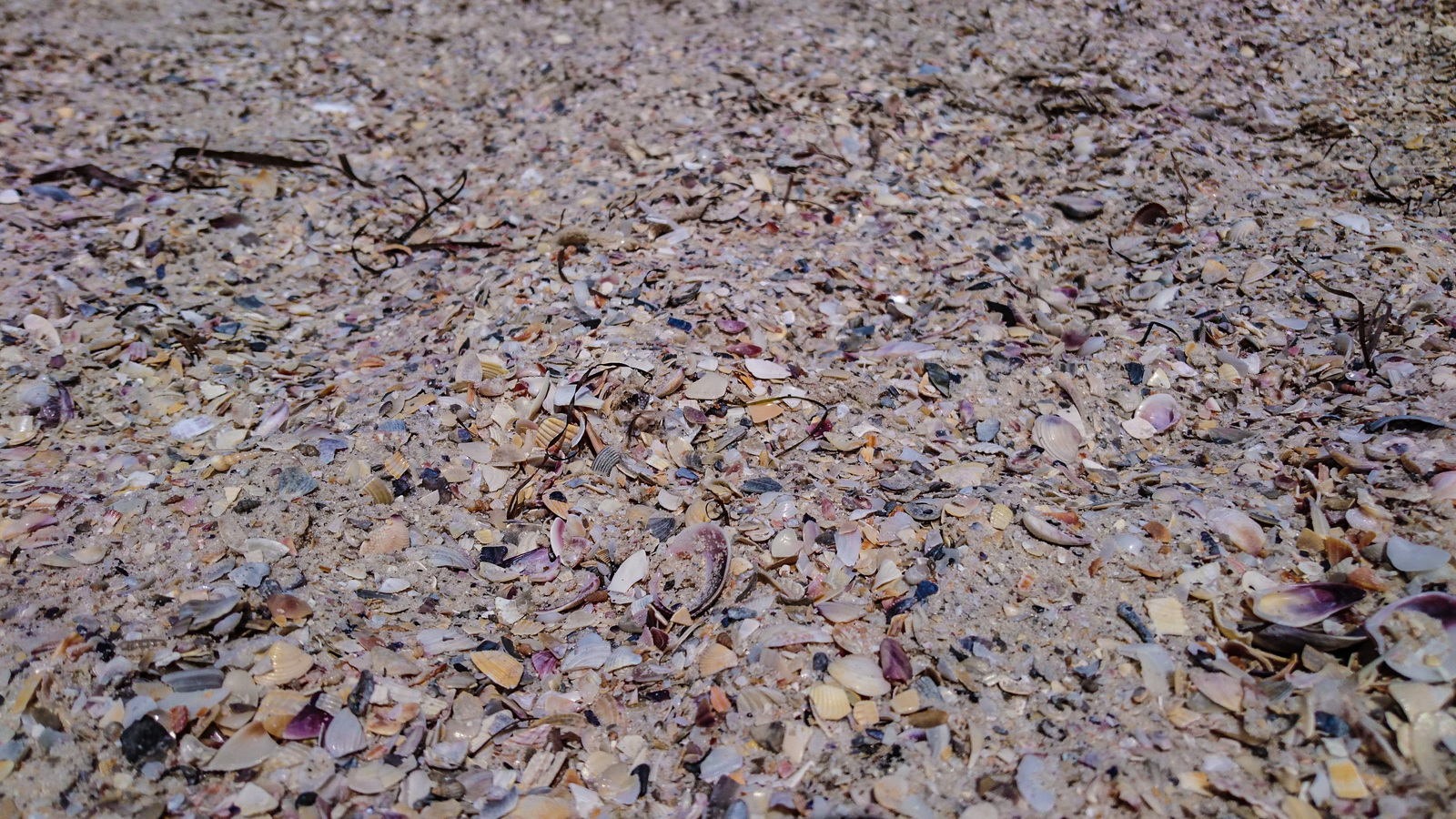 You are near the sea. Long post on the floor of the bump. - My, Black Sea, Relaxation, Hiking, Tourism, iron Port, Longpost