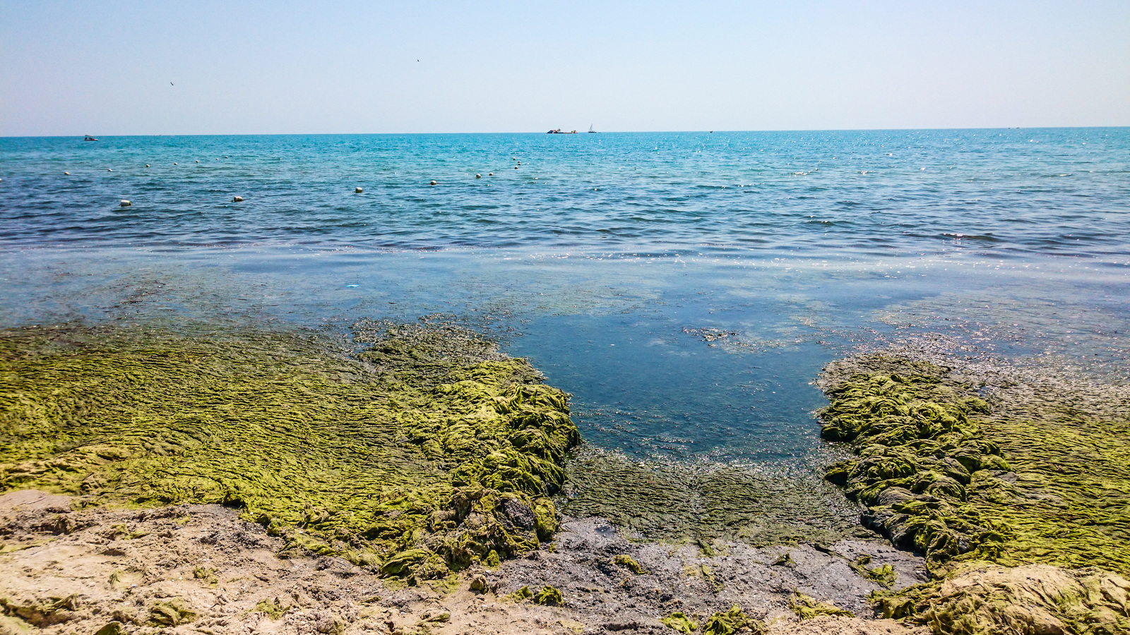 You are near the sea. Long post on the floor of the bump. - My, Black Sea, Relaxation, Hiking, Tourism, iron Port, Longpost