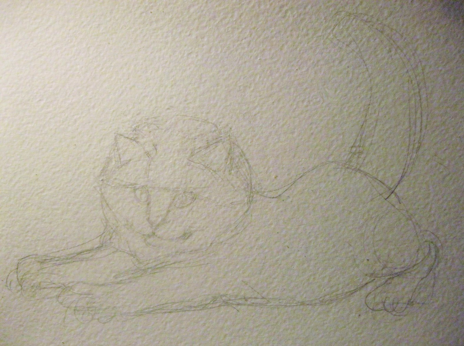 Another - My, cat, Drawing