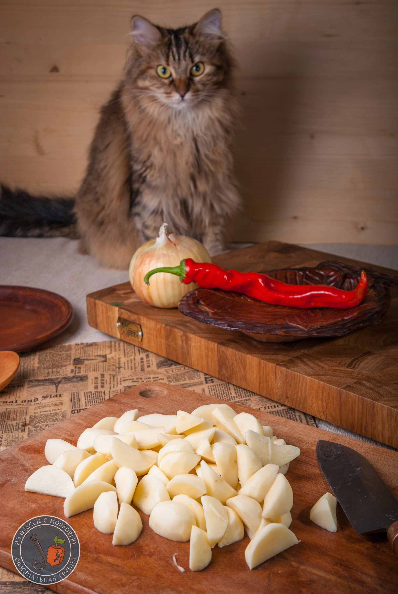 Noodley. - My, Cooking, Food, Recipe, Longpost, From Odessa with carrots, Sconce