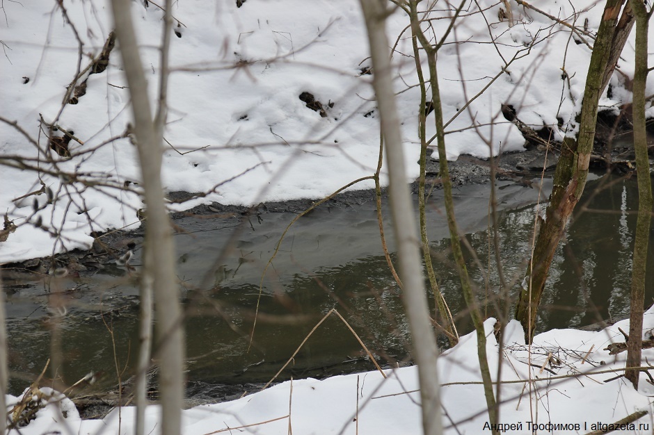 Year of Ecology in Sergiev Posad District - Ecology, Sergiev Posad, Silt, Career, Video, Longpost