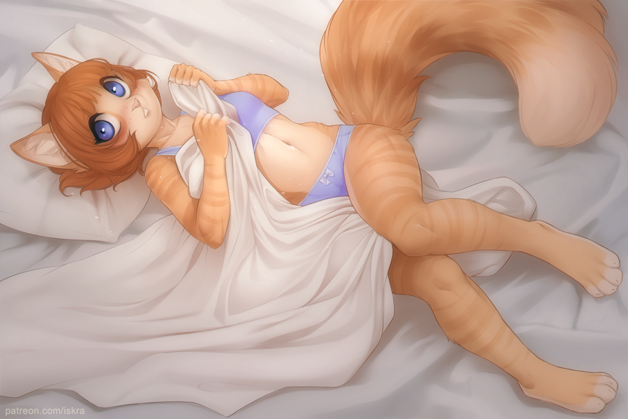 In the bed - Furry, Art, cat, Iskra, Bed, Deymos