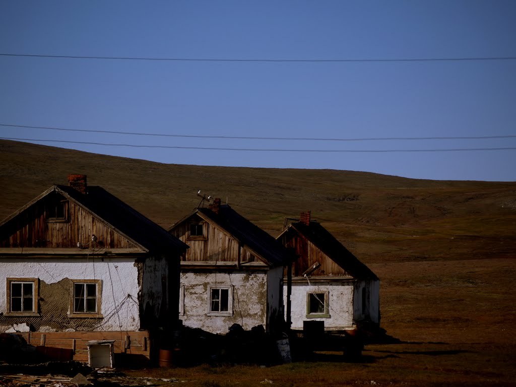 Wrangel Island - Livejournal, Wrangel Island, Without people, Abandoned, Urbanfact, Longpost, Uninhabited island