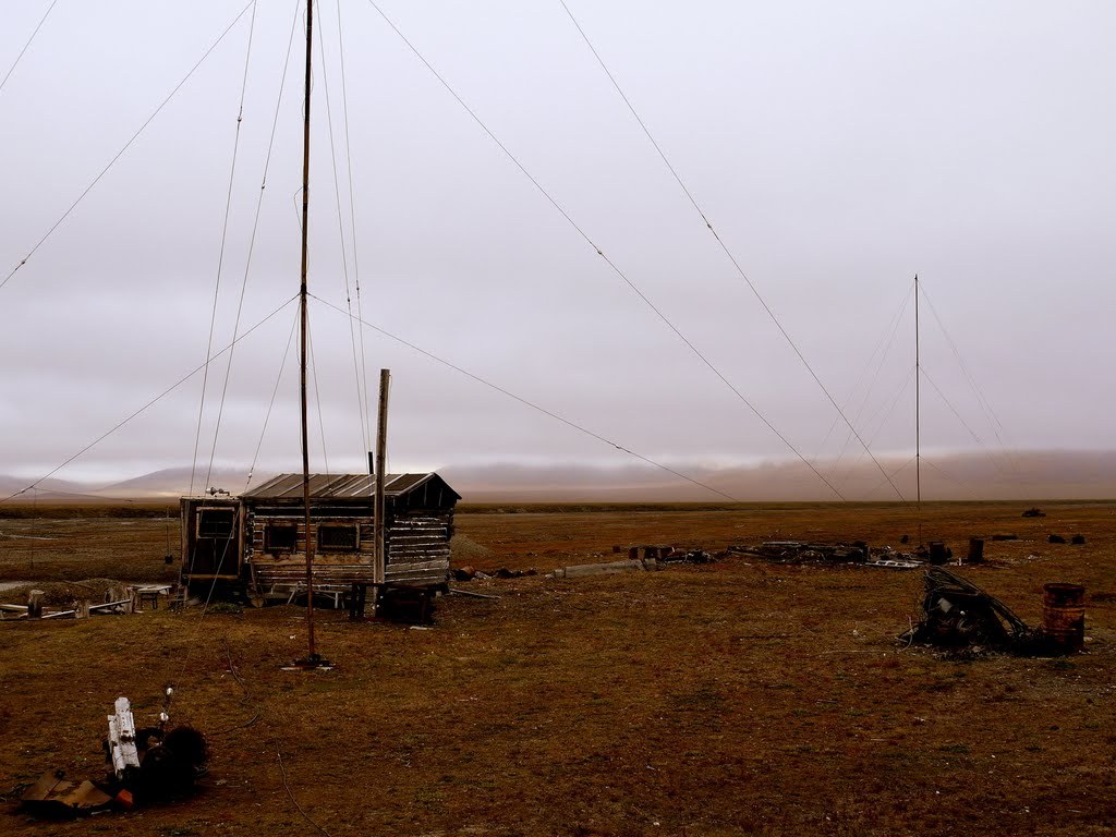 Wrangel Island - Livejournal, Wrangel Island, Without people, Abandoned, Urbanfact, Longpost, Uninhabited island