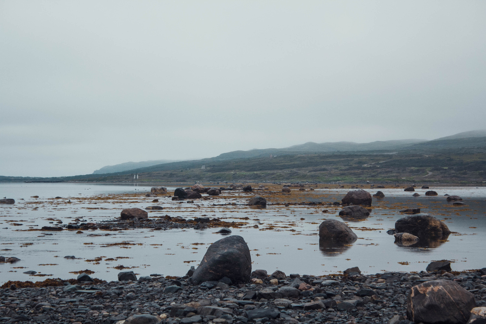 Peninsula Rybachy and Sredny. - My, , Peninsula, North, Arctic, Arctic, Travels, Russia, Ocean, Video, Longpost