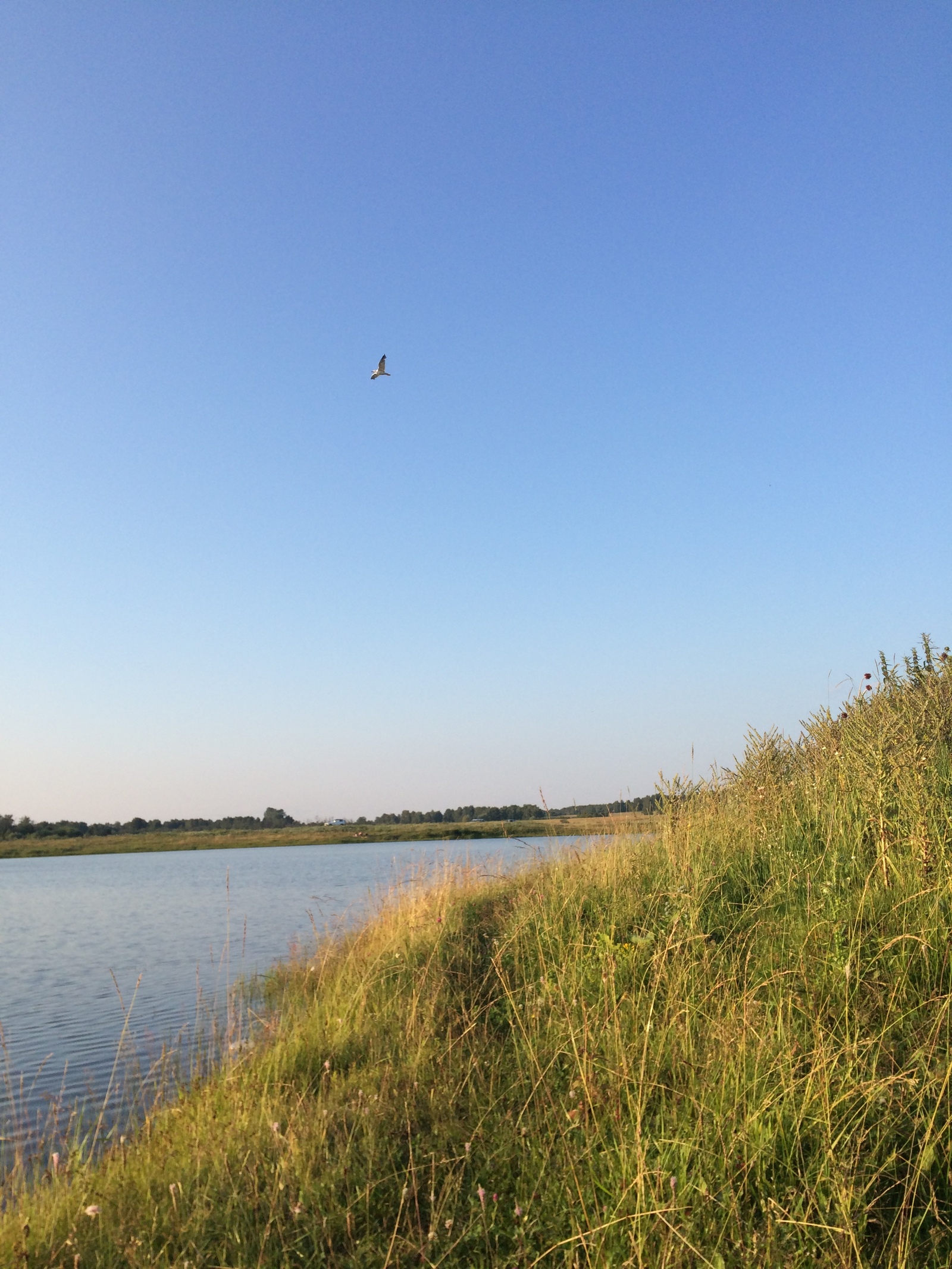 Nature of Bashkiria. Uchalinsky district. - My, Nature, The nature of Russia, , , Longpost