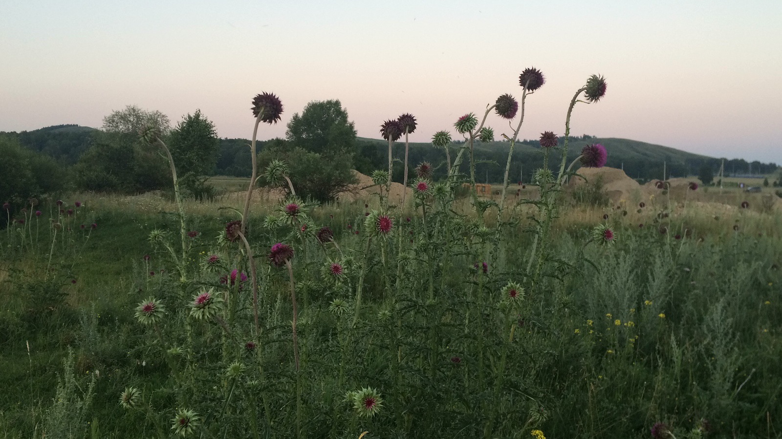 Nature of Bashkiria. Uchalinsky district. - My, Nature, The nature of Russia, , , Longpost