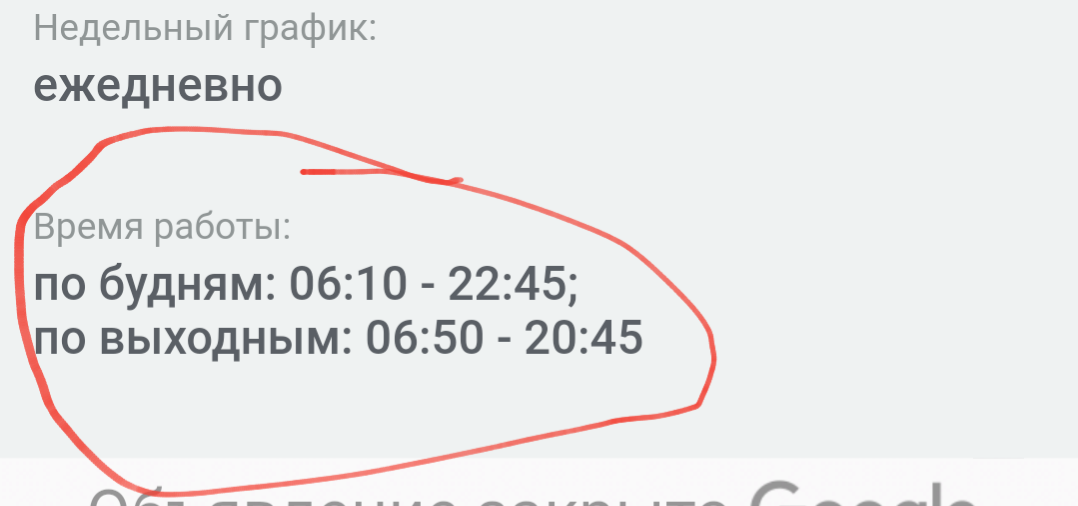 О автобусном сообщении в Алма-Ате. - Моё, Алматы, Автобус, Суслик