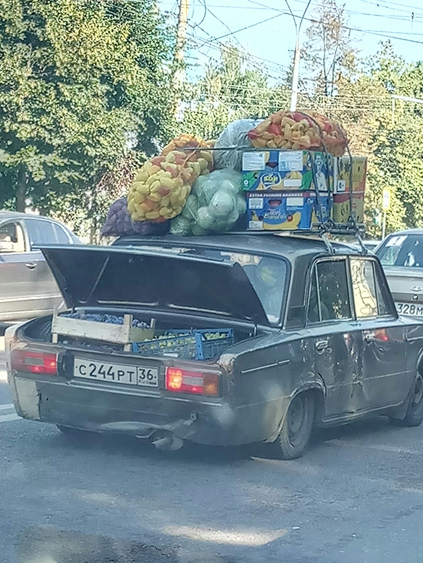 Я пёльный - Моё, Воронеж, Перевозка, Длиннопост