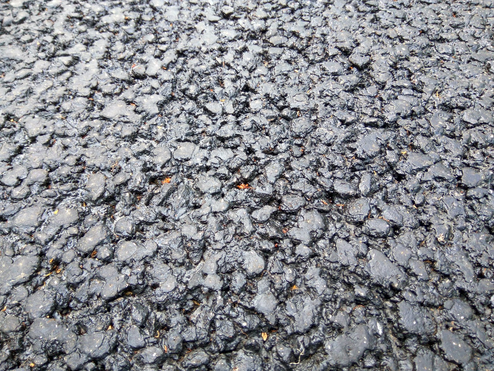 New asphalt on Poklonnaya Hill. Rollers have no place here. - My, Poklonnaya Gora, Victory park, Rollers, Asphalt, Sadness, Longpost