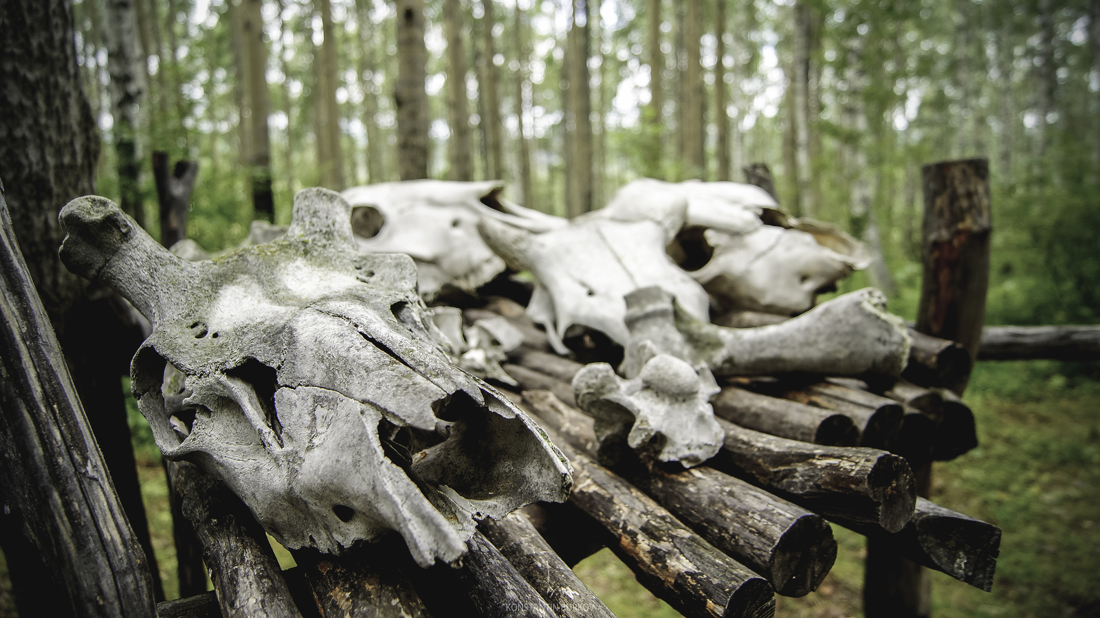 Музей "Тальцы". Иркутск. | Пикабу