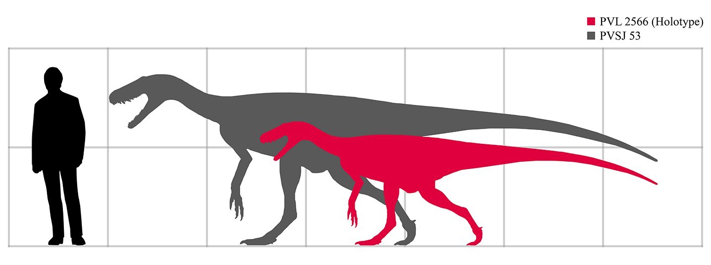 The alphabet of dinosaurs: from Eoraptor to Triceratops. - My, Paleontology, , Dinosaurs, Triassic period, Longpost