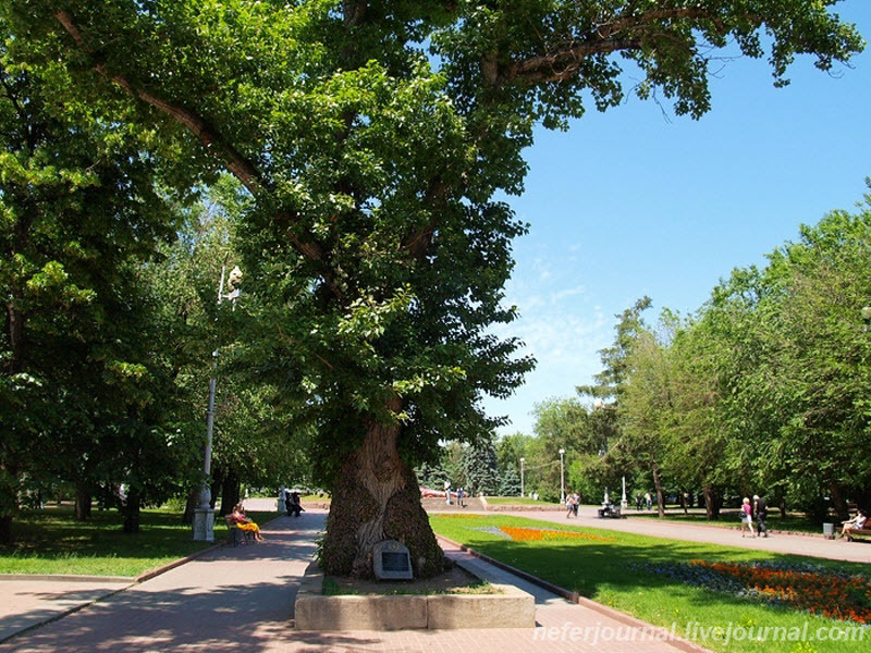 Journey through Western Russia. - Travels, Volgograd, Longpost