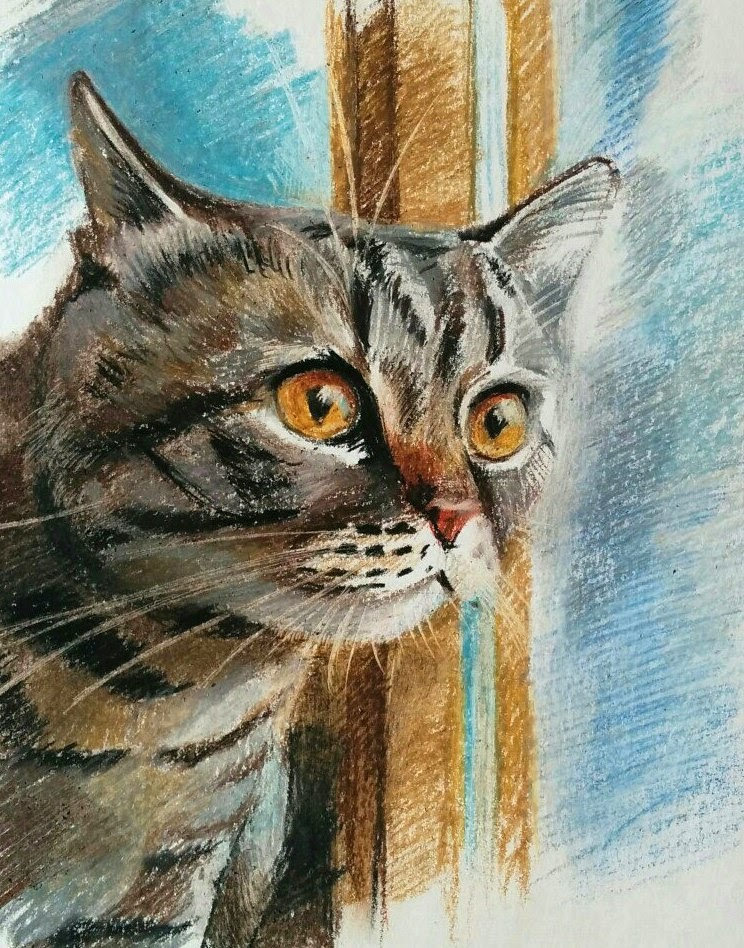 Pastel cat - My, Oil pastel, cat, Window