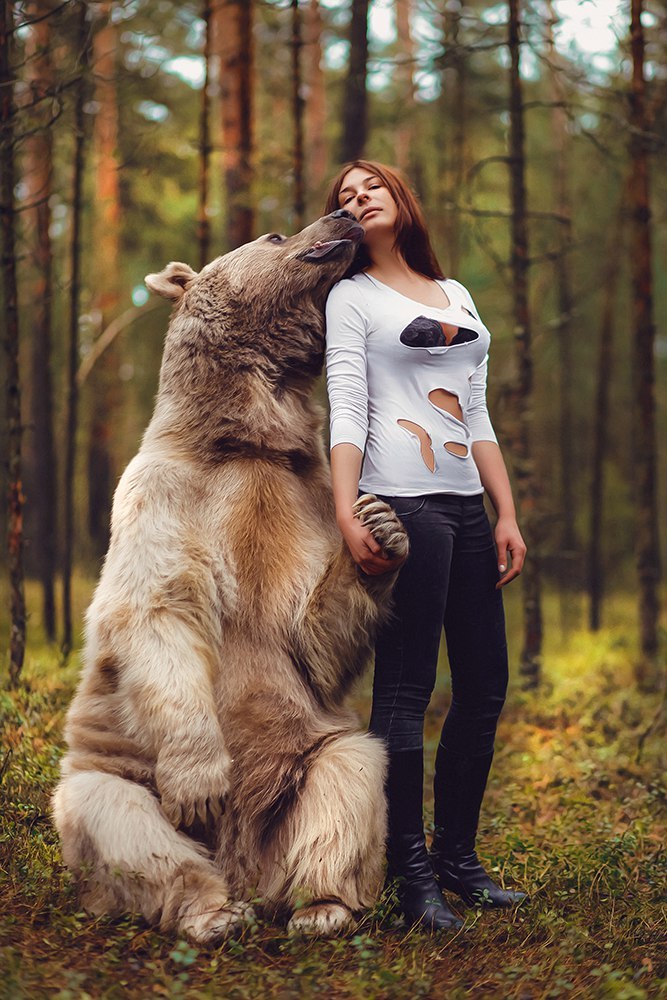 Masha and the Bear - NSFW, Girls, The Bears, The photo, Forest, Strawberry, Longpost