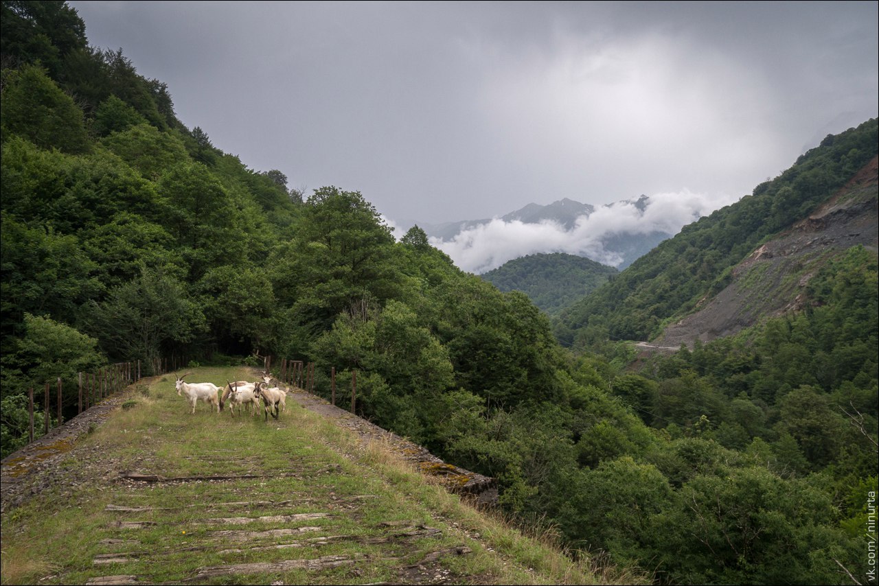 Akarmara. Summer 2016. - My, Abkhazia, , Acarmara, Ghost town, Stalk, Urbanphoto, Post apocalypse, Thicket, Video, Longpost, Abandoned