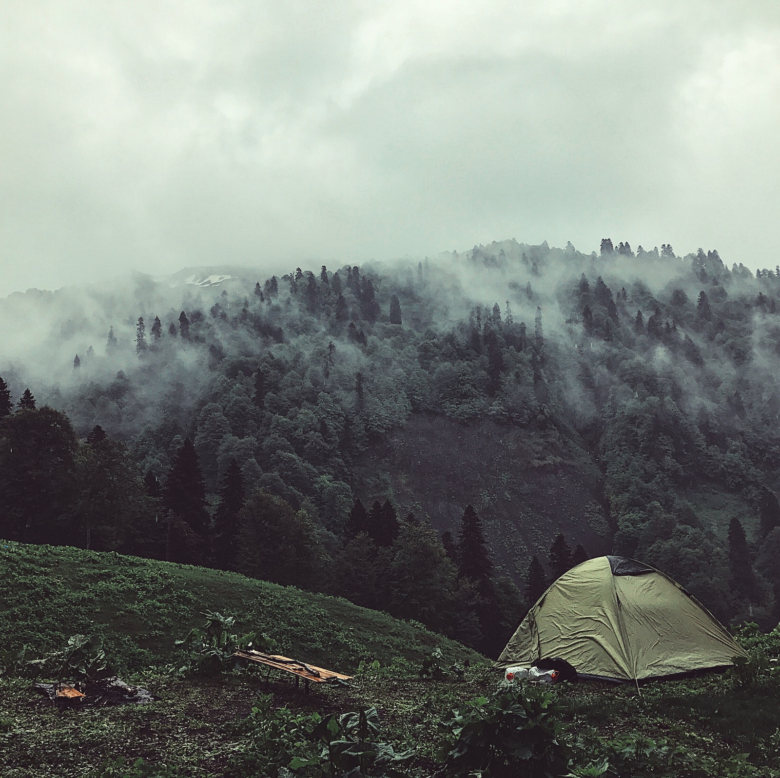 Abkhazia is a country of contrasts. - My, Abkhazia, Tent, Longpost