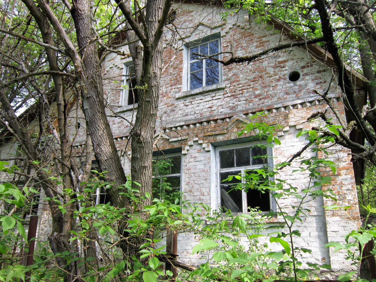 My house in Chernobyl... - My, Chernobyl, Homeland