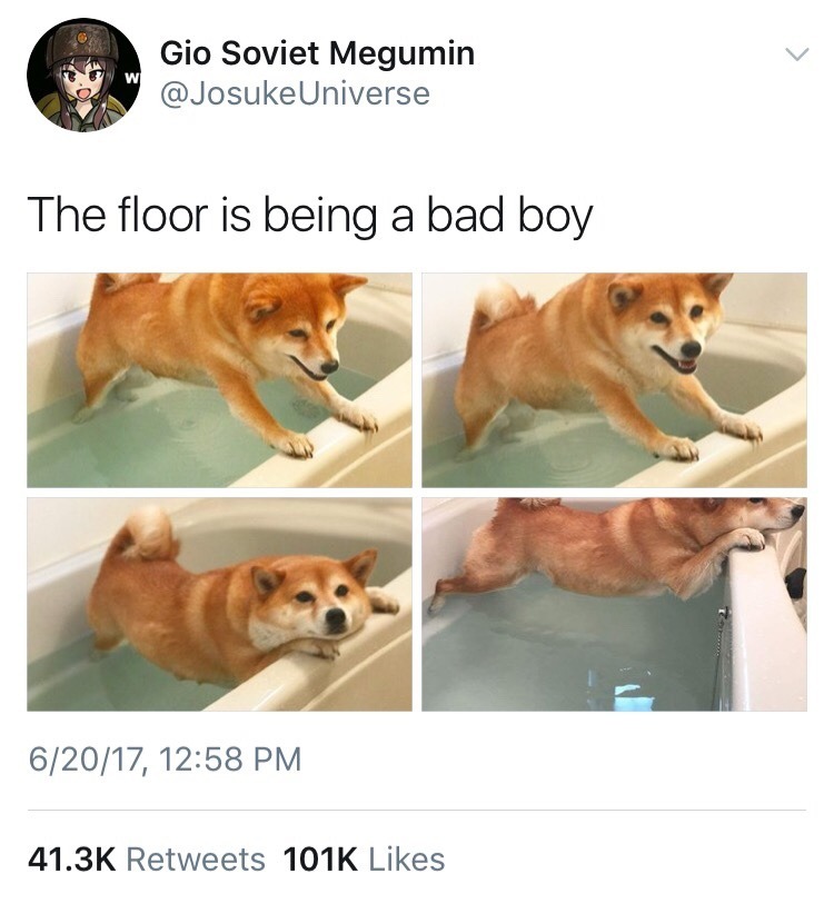 The main thing is not to be a bad boy - Bad guy, Good boy, Dog, , Bath