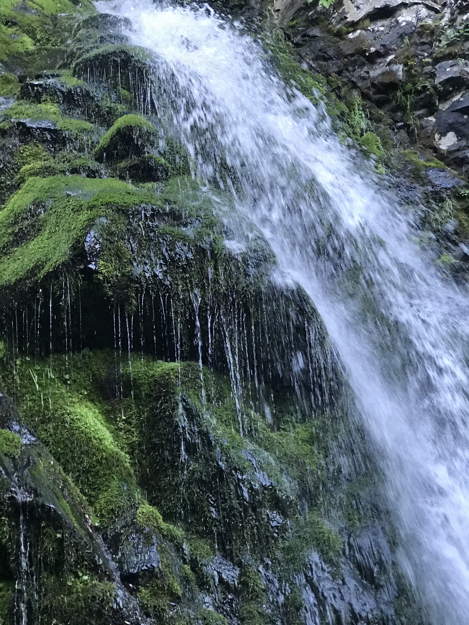 A bit of Sakhalin nature in the feed - My, Sakhalin, Travels, Longpost, My