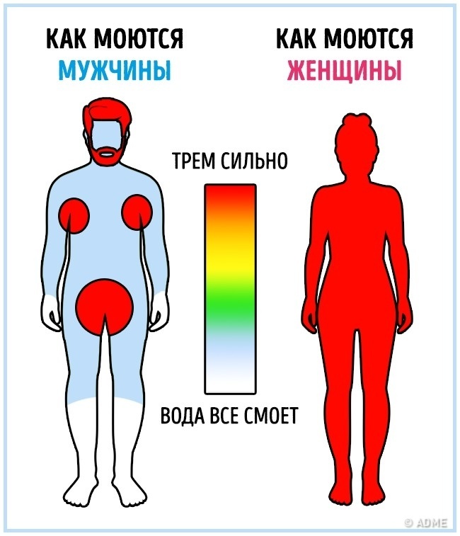 The main thing is to correctly identify strategically important objects - Differences, Men and women, Hygiene