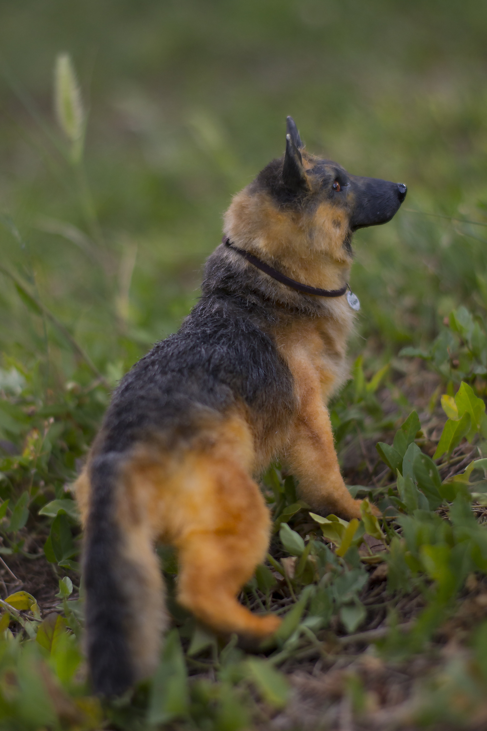 Mini copy of a pet. - My, Handmade, German Shepherd, Dog, Handmade, Polymer clay, Longpost, Needlework without process