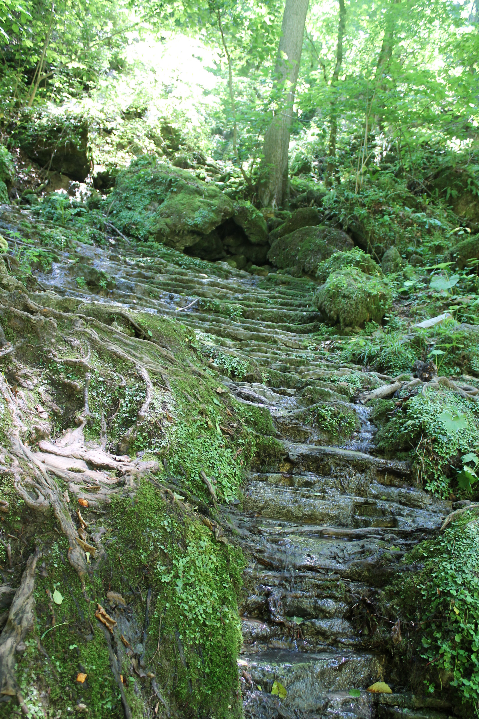 Abkhazia, Abkhazia... And here's a little Adygea for you! - My, Caucasus mountains, Waterfall, Republic of Adygea, Longpost