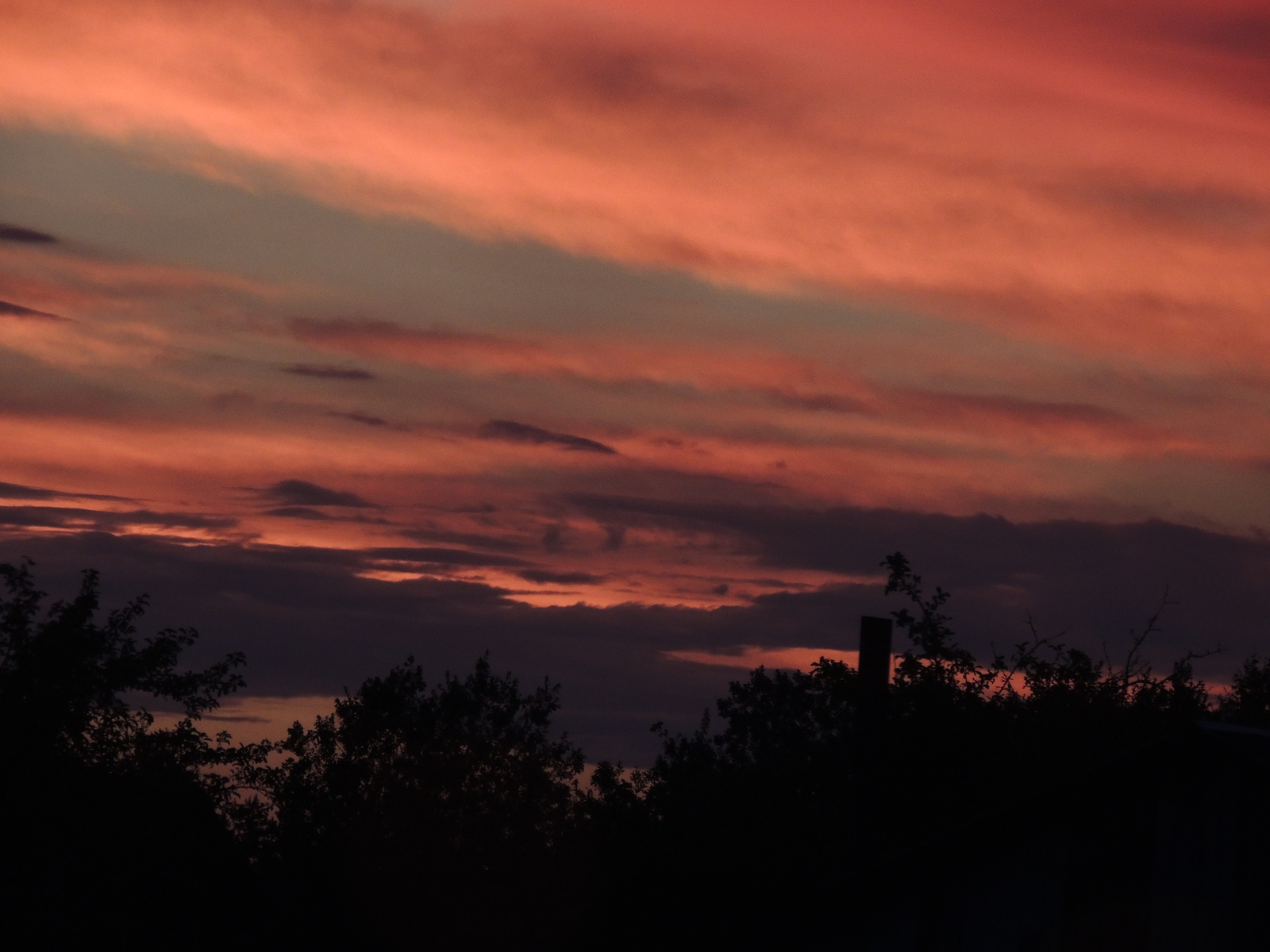 Belarusian outback #2 - My, Nature, Landscape, The photo, Horses, beauty of nature, Longpost