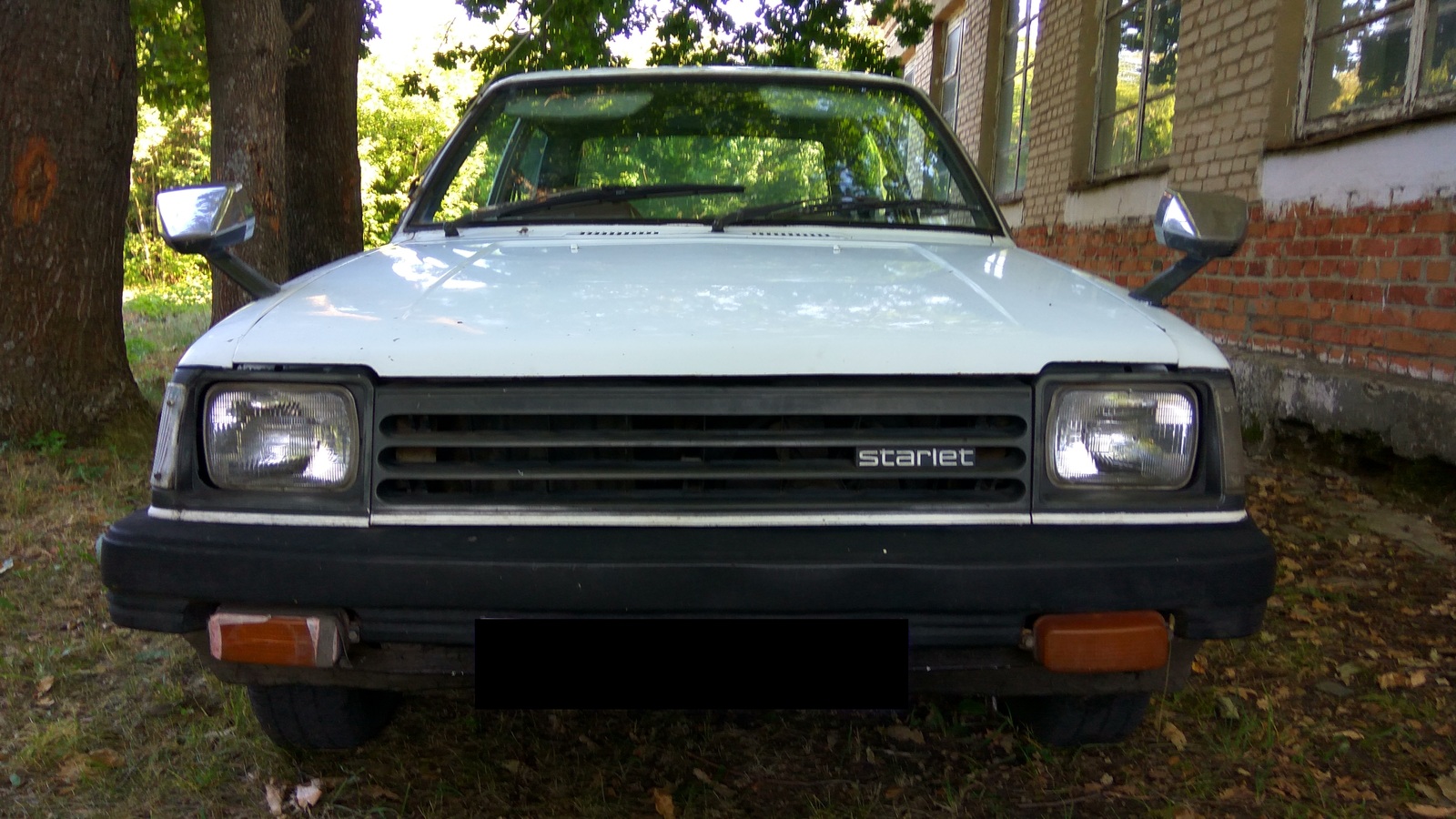 Everyday life of a millionaire Part 4 - My, The medicine, Nature, UAZ loaf, Apples, cat, Toyota, Right hand drive cars, Starlet, Longpost