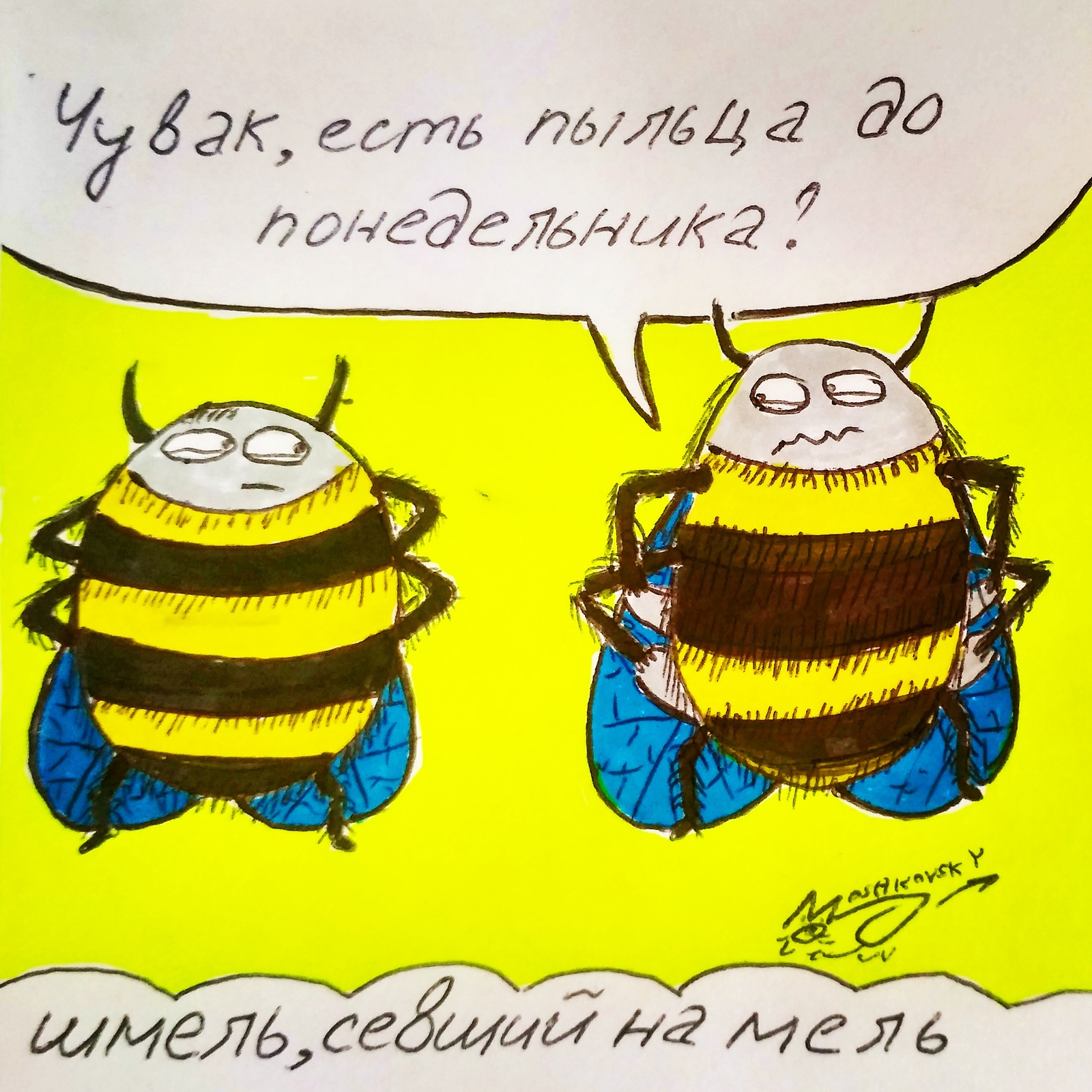 When you buzz beyond your means - My, Bumblebee, Bees, Pollen, Salary, Rogue, , Shallow, Moshkovsky