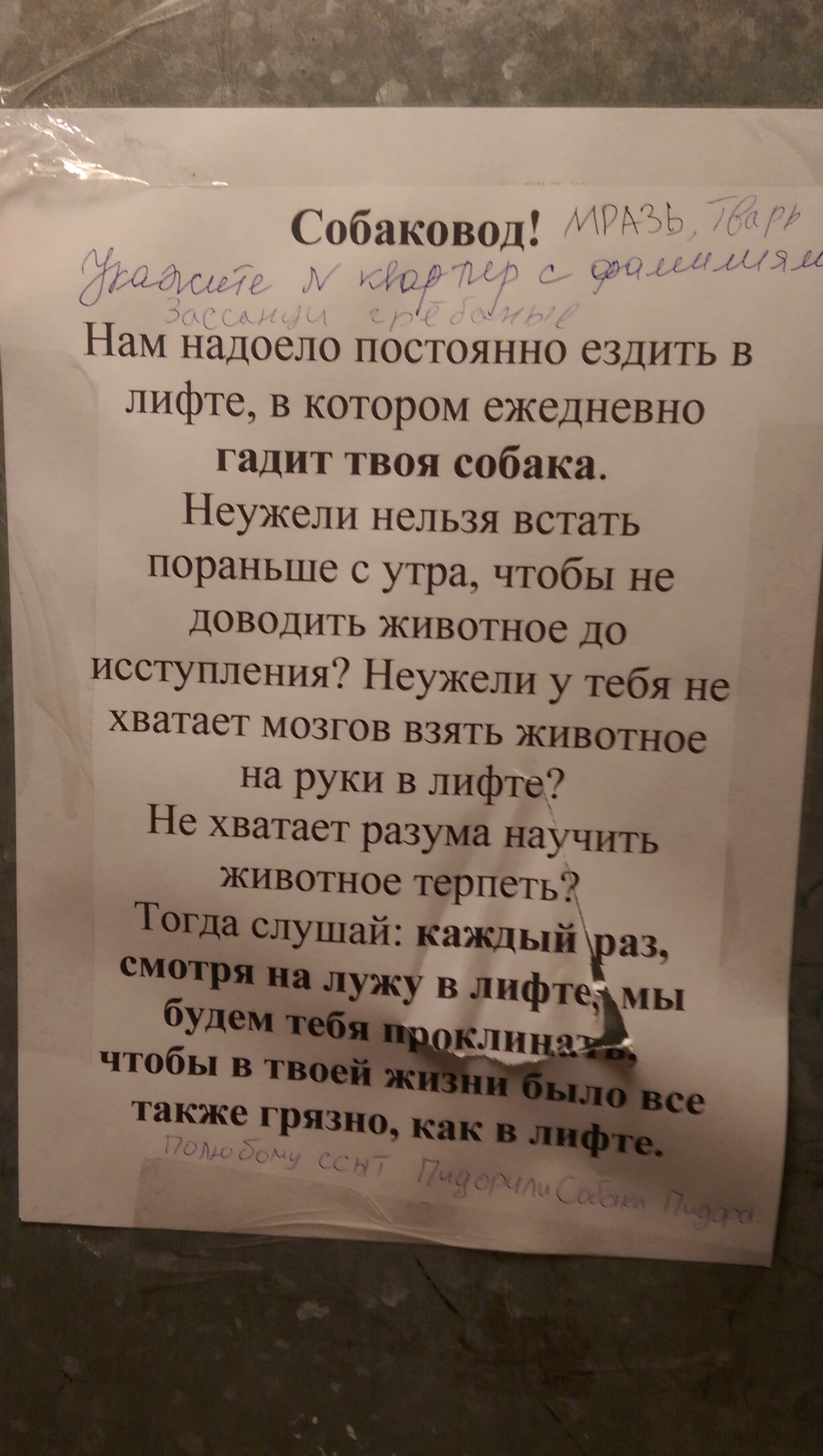 Когда остаются только проклятия | Пикабу