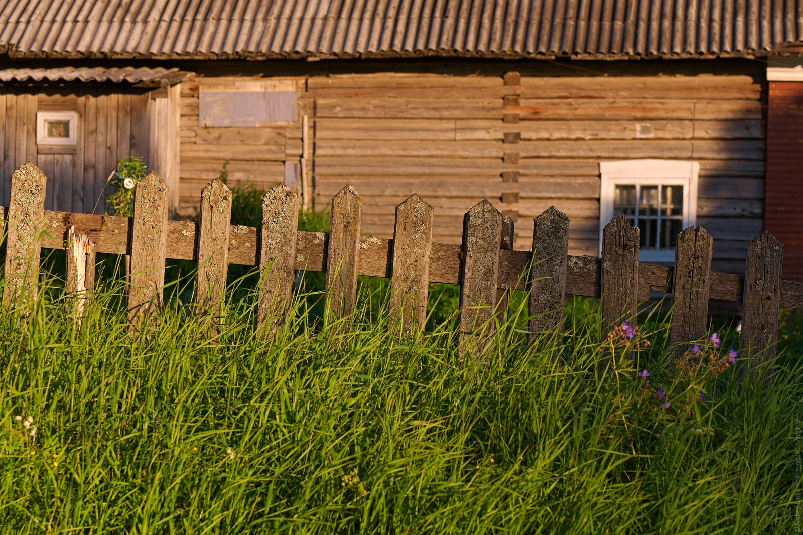 Mezen - My, Mezen, Arkhangelsk, Lamp character, North, Russia, The photo, Longpost