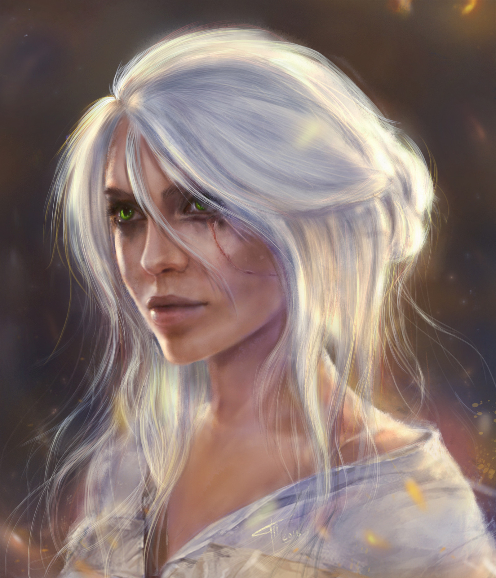 Witcher Characters - Witcher, Geralt of Rivia, Ciri, Priscilla, Shani, Art, , Tamikaproud, Longpost