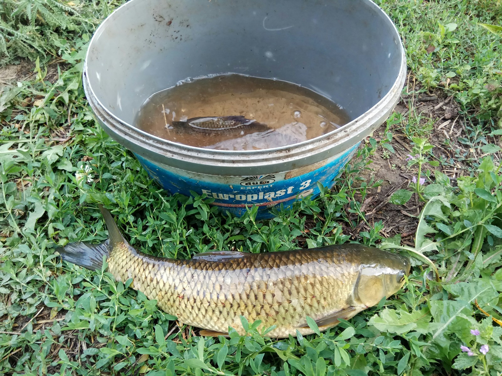 Fishing - My, Fishing, Feeder, Lake, Village