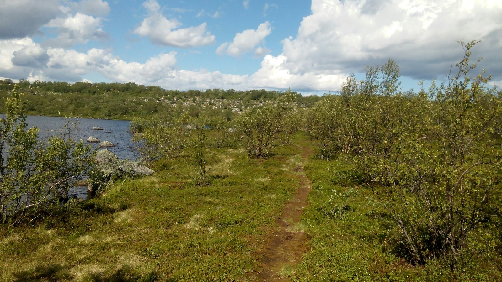 A piece of Vidyayevsky summer - My, Murmansk region, Summer, Hills, Longpost