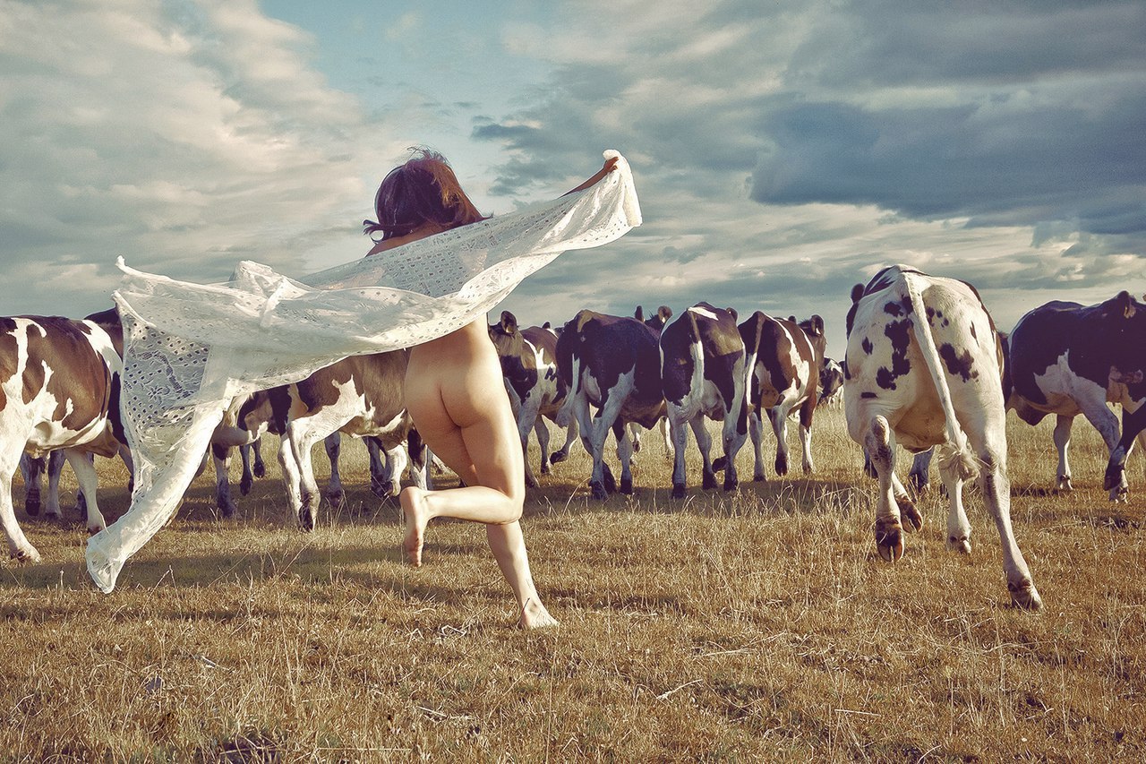 Among the cows I belong! - My, Cow, Its, , Tag