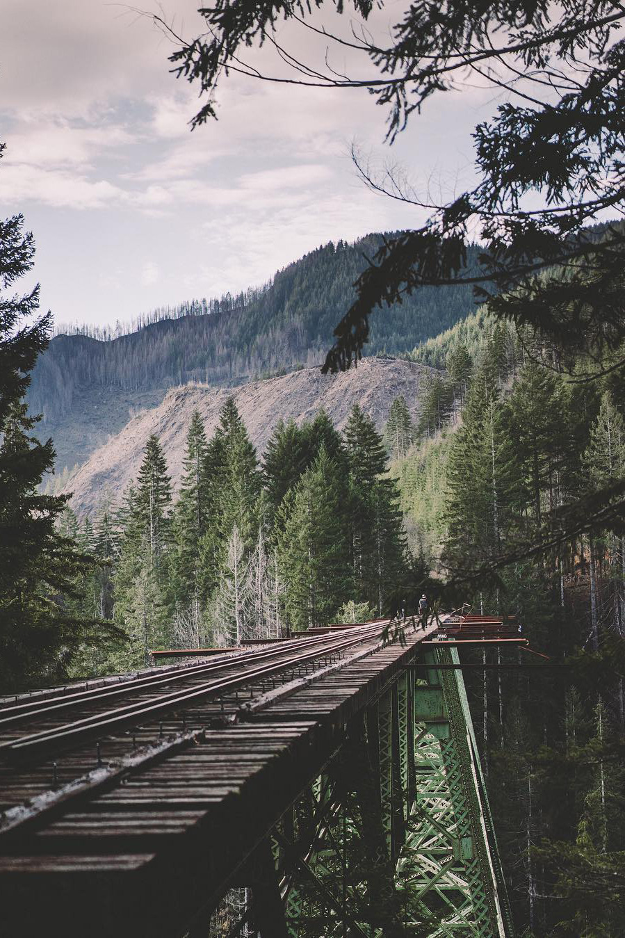 The Vance Creek Bridge - Bridge, Nature, Beautiful view, Lost in Time, Longpost